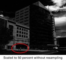 Sample image (without resampling)
